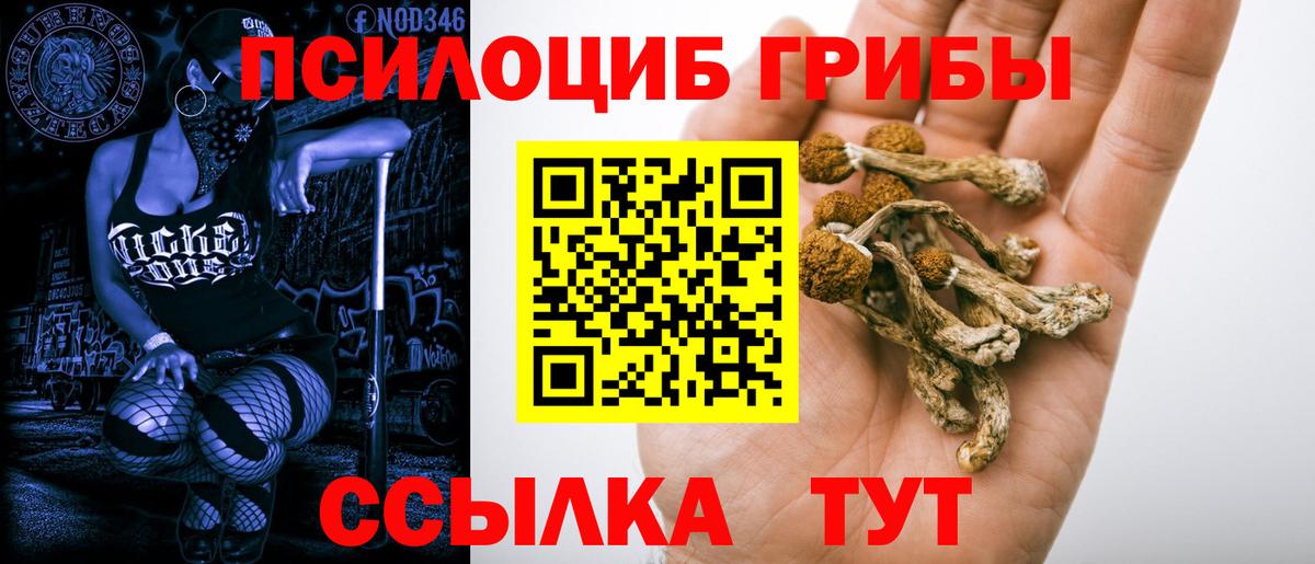 Бошки Шишки Нурлат