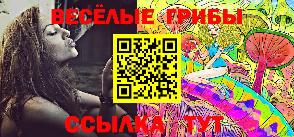 Нурлат  Псилоцибиновые грибы прущие грибы  Вход с VPN 